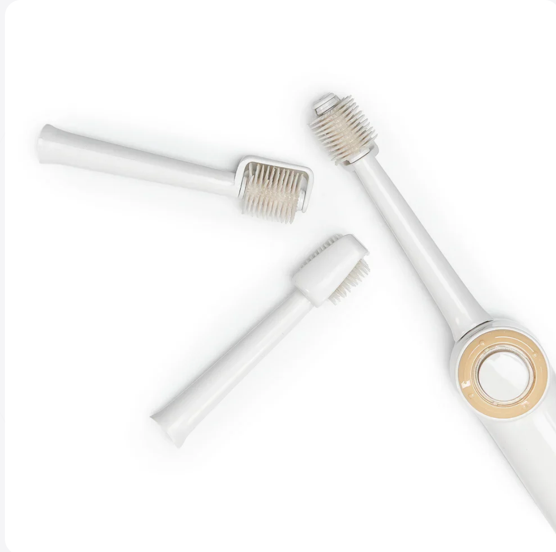 3-in-1 Oral Care Kit